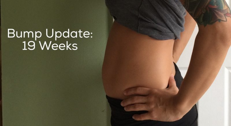 PREGNANCY: 19 Weeks Bump Update - Diary of a Fit Mommy