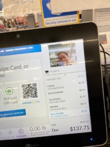 Best Dry Cat Foods for Weight Loss That Work